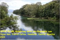 44075 23 043 Wanderung durch den Regenwald zum Yojoa-See, Puerto Cortes, Honduras, Central-Amerika 2022.jpg